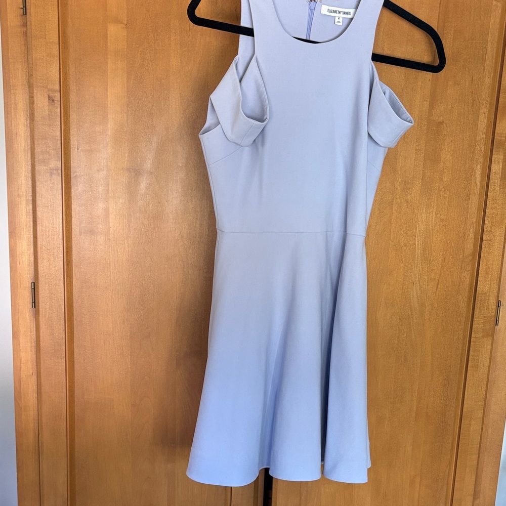 Elizabeth & James Avin Dress